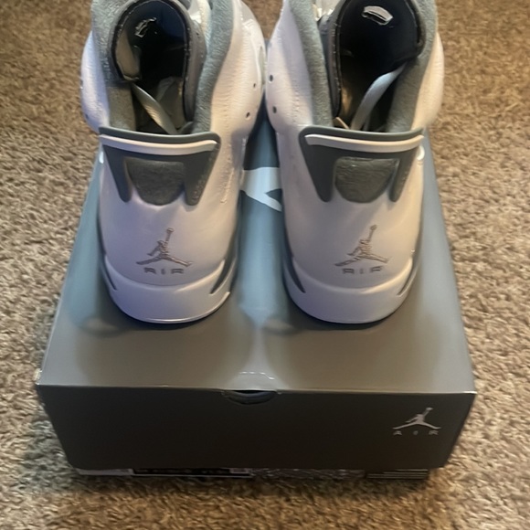 Air Jordan 6 cool grey - Picture 6 of 10